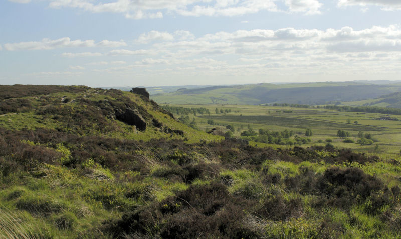 Stoke Flat